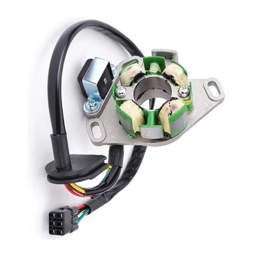 Bobine de stator pour moto RM250 2006 d'allumage
