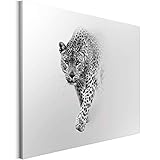 Revolio - Bilder - Leinwandbild - Wandbilder - Kunstdruck - Design - Leinwandbilder auf Keilrahmen 1 Teilig - Wanddekoration - Größe: 100x70 cm - Jaguar Nebel weiß