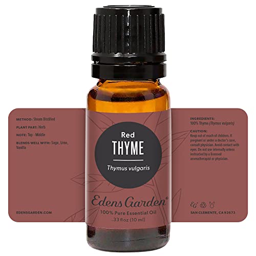 Edens Garden Thyme- Red Essential Oil, 100% Pure Therapeutic Grade (Undiluted Natural/Homeopathic Aromatherapy Scented Essential Oil Singles) 10 Ml #TOP4