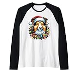Photo Gallery shetland sheepdogs - cappello natalizio per cani da pastore maglia con maniche raglan Photo Gallery shetland sheepdogs - cappello natalizio per cani da pastore maglia con maniche raglan