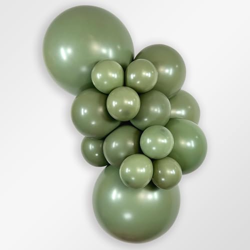 Image of Sempertex Deluxe Eucalyptus Balloons, Latex, 11 Inch, 25 Pcs