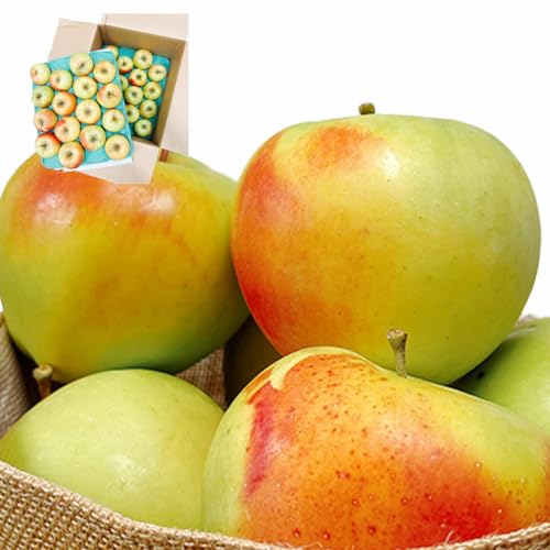 りんご 名月 10kg」の人気商品一覧 | 安い商品を通販サイトから探す