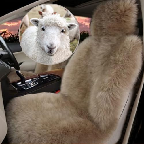 ԗp[gJ[V[gJo[ԗptgV[ĝ߂̖{̃[gV[gJo[Aėp^Cvi1j(Camel)