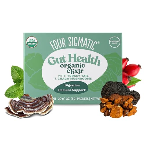 Chaga Mushroom Elixir by Four Sigmatic | Coffee Alternative with Organic Chaga Mushroom Powder, Rose Hips & Mint | Immune Support & Overall Wellness | Pack of 20