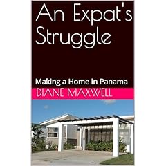 An Expat's Struggle Audiolibro Por Diane Maxwell arte de portada