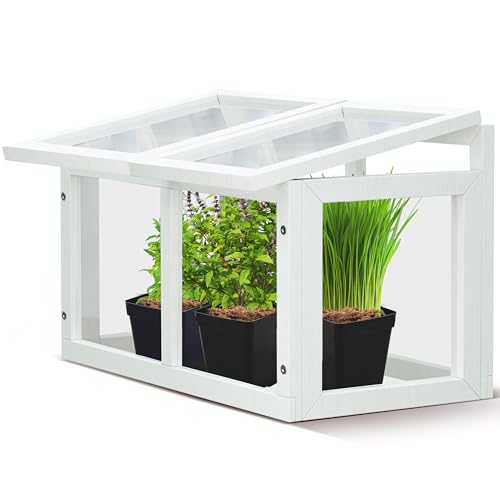 Mini Tabletop Greenhouse 12'x8' &ndash; Compact Indoor Plant House with Clear Acrylic Panels & Wood...