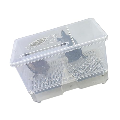Caja plegable para reptiles con ventana de observación y cubierta ventilada 2