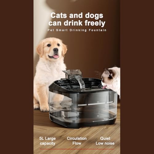 Fuente de Agua Automática para Gatos 5L PILULY miniatura 4