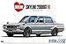 Aoshima 1/24 Scale Kit 58350 The Model Car 045 Nissan PGC10 Skyline 2000GT-R 1970