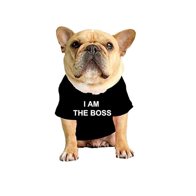 ShopINess Divertida Camiseta para Perro Gato y Mascotas con Texto I am the Boss Soy el Jefe (M, Negro)