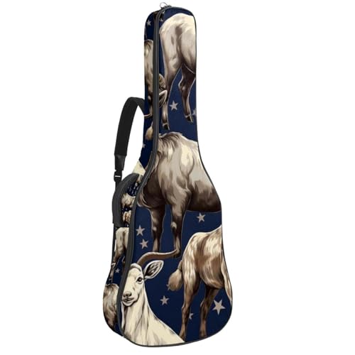 Sac pour guitare acoustique 41 pouces multicolore avec poches