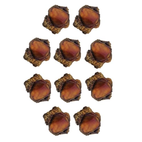 PUREPET Chews for Dogs All Natural Beef Smoked Knee Caps with Meaty Bits Bulk Packs (10 Knee Caps)