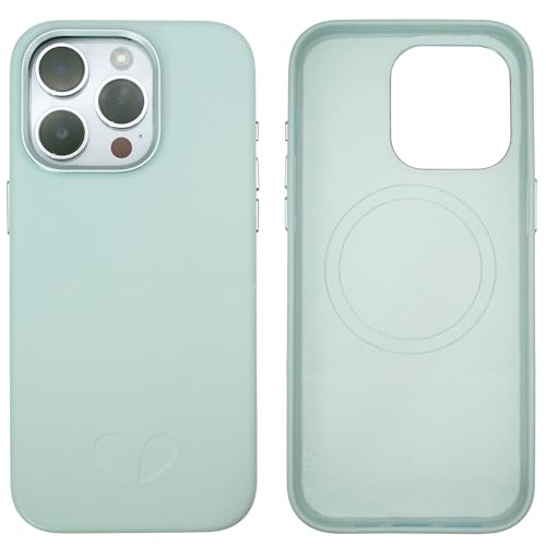 Étui magnétique en cuir vegan pour iPhone 15 Pro Max 6.7 pouces couleur succulente