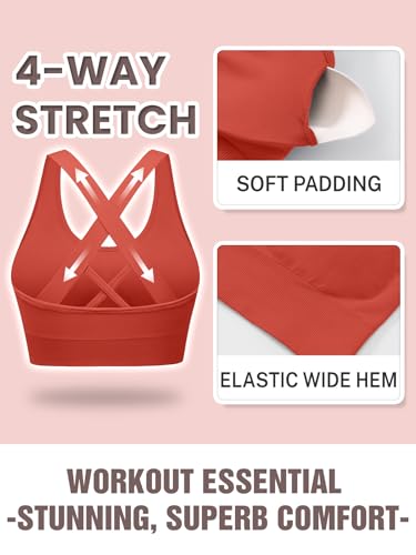Image of Sports Bras for Women High Support, Multipack Padded Supportive Criss Cross Back Wireless Running Yoga Workout Bra