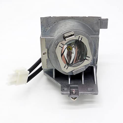 Ampoule de rechange pour Benq EW800ST lampe RLC-118 avec boîtier UHP240