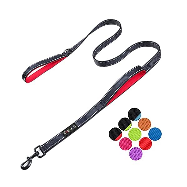 Gavpepy 3M Reflective Dog Leash 5ft Long with Traffic Padded Handle, Dog Training Leash Heavy Duty, Double Handle Lead for Greater Control Safety Training, Perfect for Large or Medium Dog (Black&Red) Gavpepy 3M Reflective Dog Leash 5ft Long with Traffic Padded Handle, Dog Training Leash Heavy Duty, Double Handle Lead for Greater Control Safety Training, Perfect for Large or Medium Dog (Black&Red)