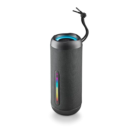 NGS Roller Furia 2 Black - Kabelloser Lautsprecher mit Bluetooth-Kompatibilität, IPX7-Wasserdichtigkeit, 30 W, True Wireless, USB, Batterielaufzeit 9 Stunden, Schwarz