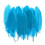 Color: Lake Blue; Feather Length: 10-17 cm / 3.94-6.69"; Packing List: 300 Pack x Natural Goose Feathers Advantage: Our premium natural goose feathers are found for superior quality, maintaining real texture and durability that synthetic alternatives...