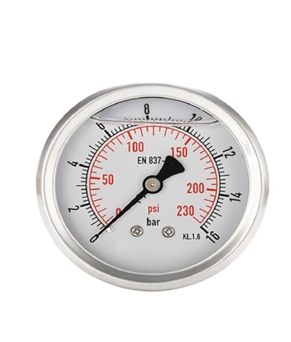 Manomètre anti-vibration axial en acier inoxydable pour circuit vapeur
