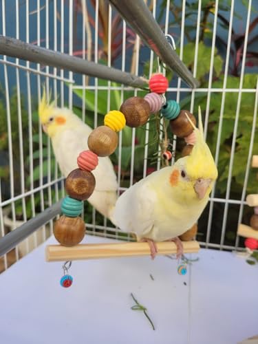 Balanço poleiro para todos os tipos de aves