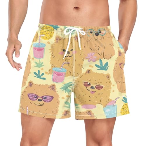 Pomeranian and Pineapple Men's Swim Trunks with Liner Quick Dry Beach Shorts Swimwear Bathing Suit S-XXL