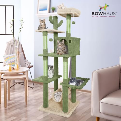 BOWHAUS Árbol Cactus para Gatos multi-niveles 70 pulgadas miniatura 7