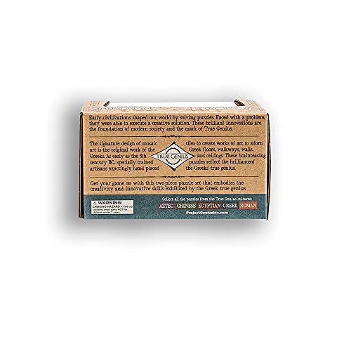 Project Genius Mini Greek 2 Pack, Multi, Wooden Puzzle, Assembly Puzzle, Disassembly Puzzle, Brain Teaser, 3D Puzzle, Metal Disentanglement