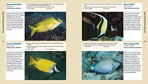Reef Life: A Guide To Tropical Marine Life #TOP1