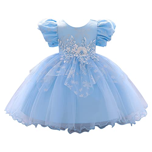 Hularka Baby Girls Round Neck Puff Sleeve Baptism Christening Gowns Embroidery Fluffy Tulle Flower Girls Dress Sky Blue 18-24 Months #TOP14