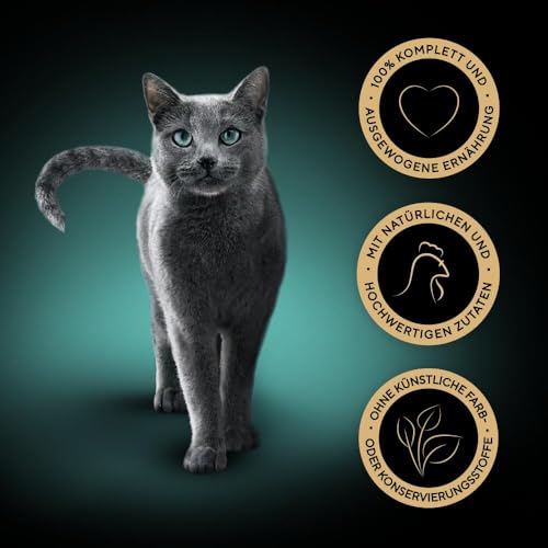 SHEBA Schale Nassfutter für Katzen Finesse Feine Pastete mit Huhn 22 x 85g