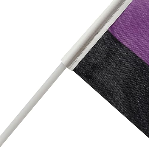 Bandeiras LGBT do Mês do Orgulho, bandeiras de decoração de festa de poliéster 9,5 x 1,5 m, decoraçã