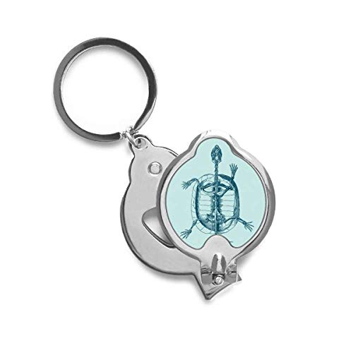 Coupe-ongles Squelette Sketch Tortue des animaux en acier