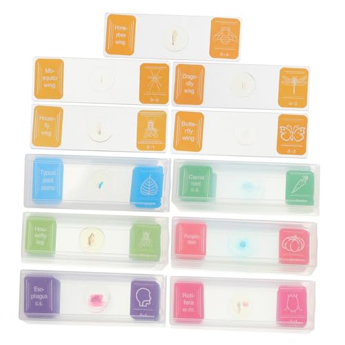 Coffret de 35 lames de microscope préparées pour enfants passionnés de biologie marine