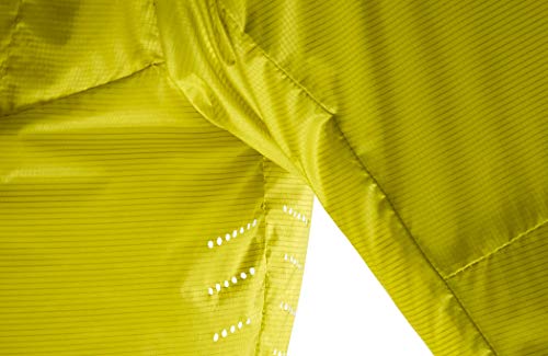 Image of Salomon FAST WING HYBRID Men
