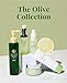 DHC Olive Virgin Oil Essential Cream, Moisturizer, Hydrating, Promotes Skin Elasticity, Radiant, Fragrance and Colorant Free, Ideal for All Skin Types, 1.7 oz. Net wt.