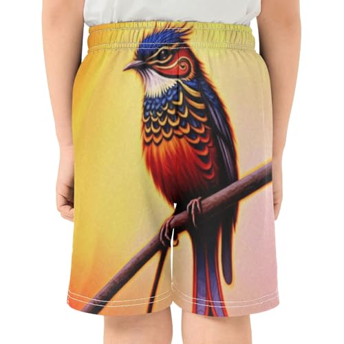 Colorful Bird Pull-On Kids Shorts Elastic Waist School Boys Thick Summer Shorts with Pockets XS3