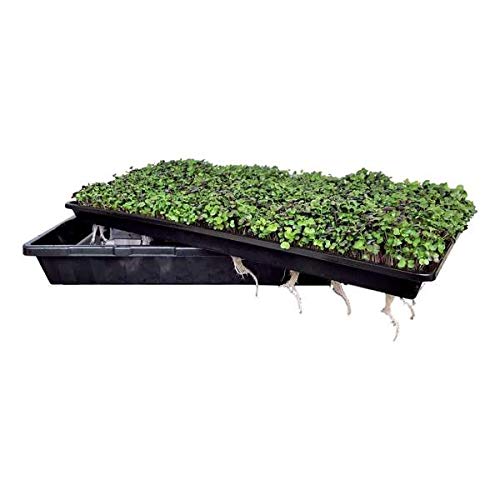 Bootstrap Farmer Microgreen 1020 Trays, Shallow Extra Strength 10 Pack Seed Tray With Holes - Grow Fodder, Wheatgrass, Sprouting, Plants Growing #TOP3