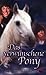 Produktbild Das verwunschene Pony [VHS]