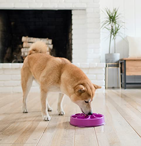 Outward Hound Fun Feeder Slo Bowl, Slow Feeder Dog Bowl, Medium/Mini, Purple #TOP4