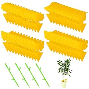 48 Stück Pflanze Fruchtfliegenfalle, Selbstklebende Fallen Insektenfalle Fliegenfalle Gelbsticker Fliegenfänger, Gelbfalle für Pflanzen Auf dem Balkon oder Im Garten Schädlingsbekämpfung