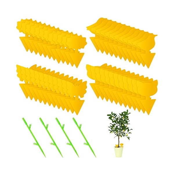 48 Stück Pflanze Fruchtfliegenfalle, Selbstklebende Fallen Insektenfalle Fliegenfalle Gelbsticker Fliegenfänger, Gelbfalle für Pflanzen Auf dem Balkon oder Im Garten Schädlingsbekämpfung