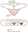 Jiuguva 5 Pack g String Micro Thongs for Women Low Rise Lace Breathable Seamless Underwear M Size T Back Panty Fit for Under Jeans or Dresses Tanning Bikini Workout Pants Photography Body