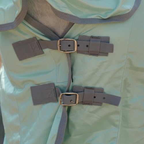 image for Gallopoff Horse Fly Sheet with Detachable Neck Cover & Belly Wrap, Adj