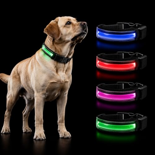 PETTY Collare Luminoso per Cani REGOLABILE LED - Collarino TRASPIRANTE RICARICABILE Usb, Chiusura Regolabile e Bottone di Sicurezza Antistrozzo - Cani Taglia Piccola Media e Grande XL rosso