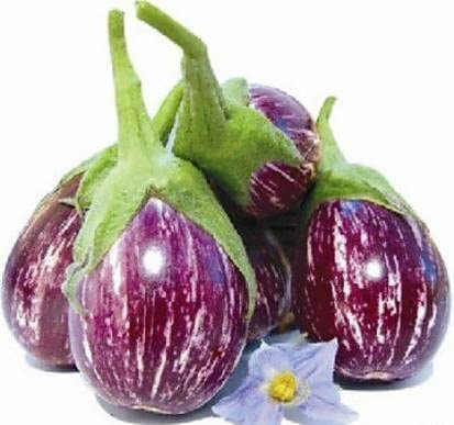 Green World BRINJAL CVK MK 124/ BAINGAN KE BEEJ SEEDS FOR KITCHEN GARDENING (10 seeds) (B09KNLZX9W) Amazon Price History, Amazon Price Tracker
