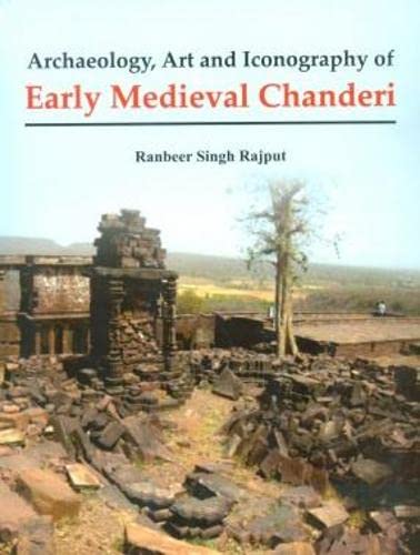 Chaneri médiéval archéologie et art de l'Inde livre d'histoire