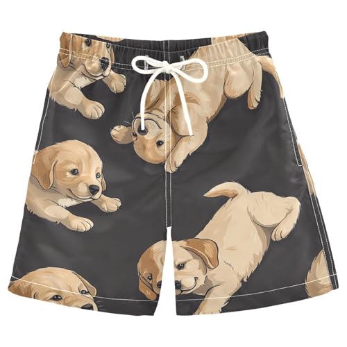 Boys Beach Board Shorts Dog Cute Animal Swim Trunk Teen Swimwear