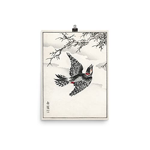 Affiche oiseaux Kashu vintage et illustration botanique de nature pour une deco retro