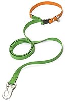 Algopix Similar Product 11 - WEST PAW Jaunts Dog Leash with Comfort