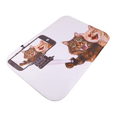 Alfombra para puerta delantera de gato: juego de 3 piezas para un hogar acogedor 5